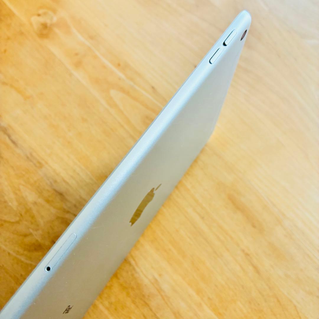 iPad mini 第5世代 シルバー 64GB セルラー 訳アリ
