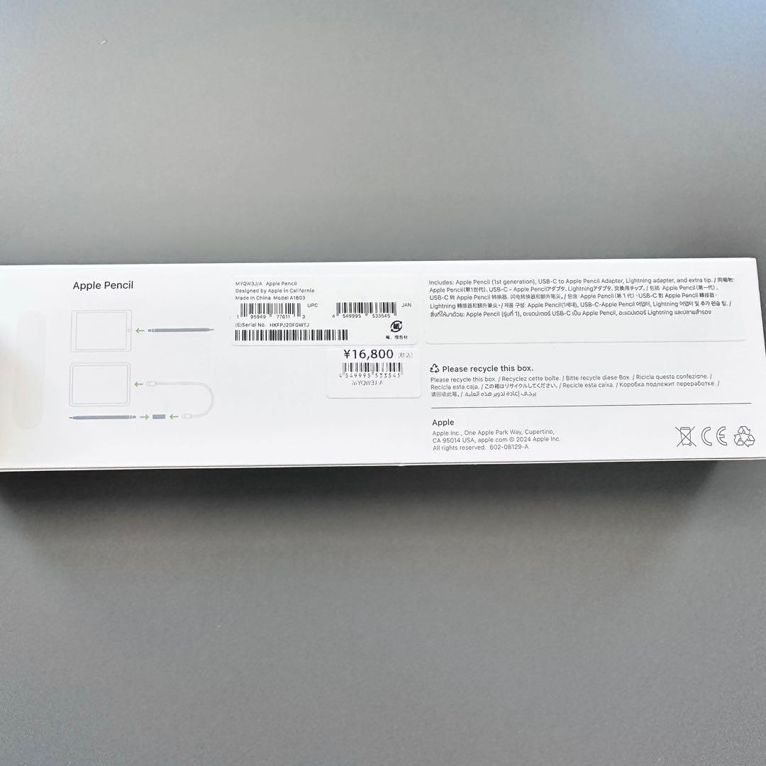 Apple iPad A16 & Apple Pencil 第一世代