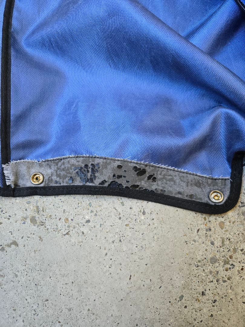 【初心者・ゴルフデビュー】レディース10本セット