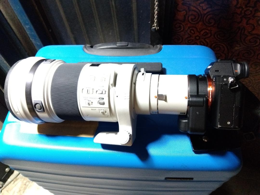 Sony 300mm F2.8 G + テレコンバーター + マウントアダプター