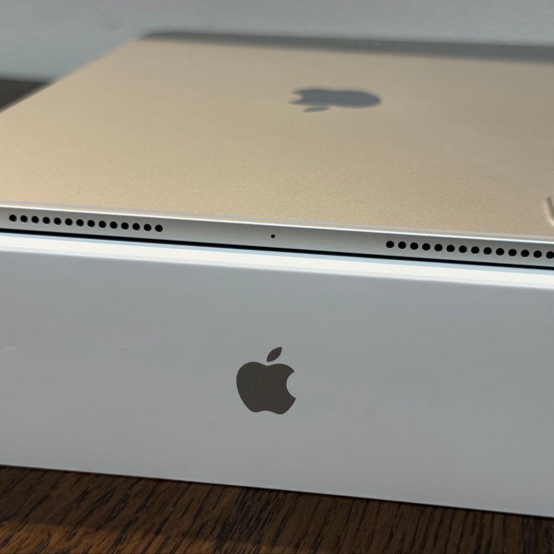 iPad Pro 11インチ M4 256GB Wi-Fi シルバー