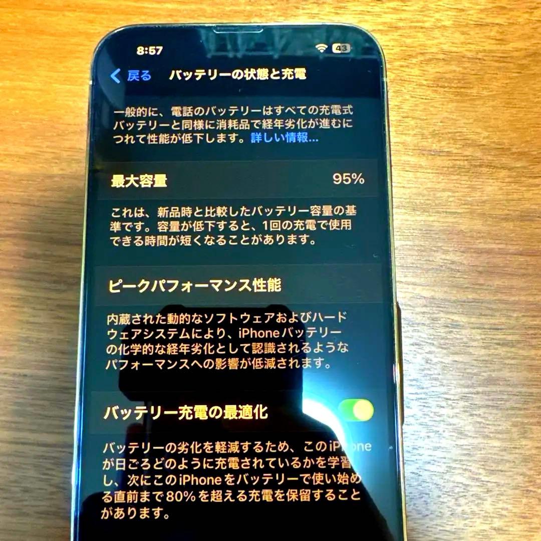 Apple iPhone 13 pro max 256GB 95% 美品