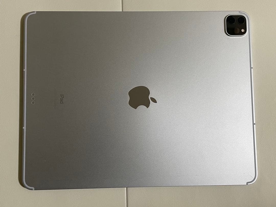 Apple iPad Pro 12.9インチ256GB 第5世代 SIMフリー