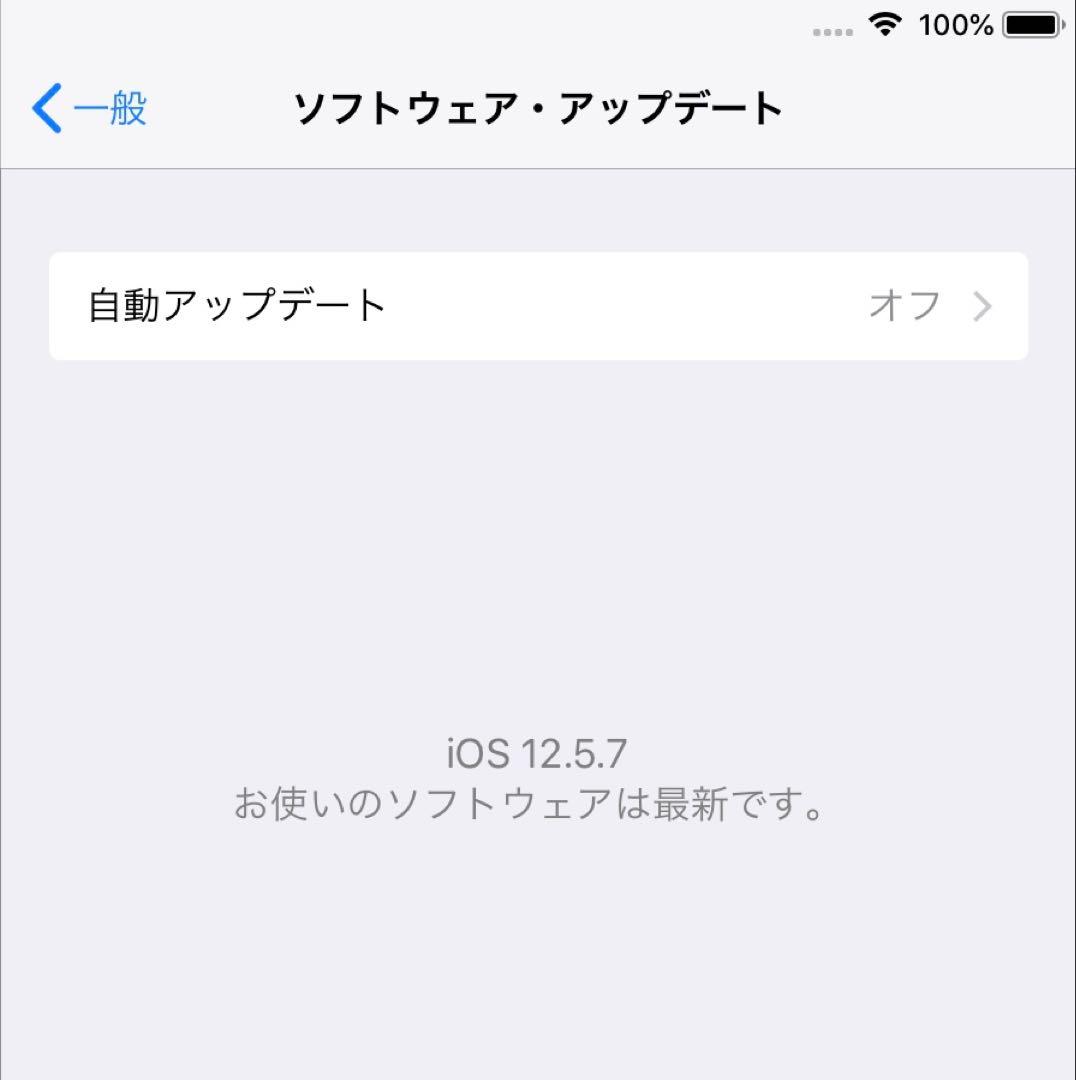 iPad mini3 16GB wifi + cellular スペースグレイ