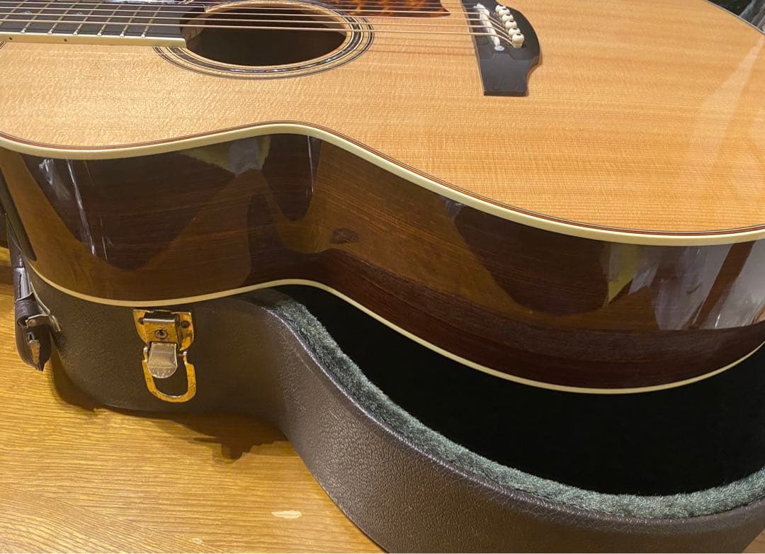 タカミネ DMP50S 2ピックアップ エレアコ ナチュラル