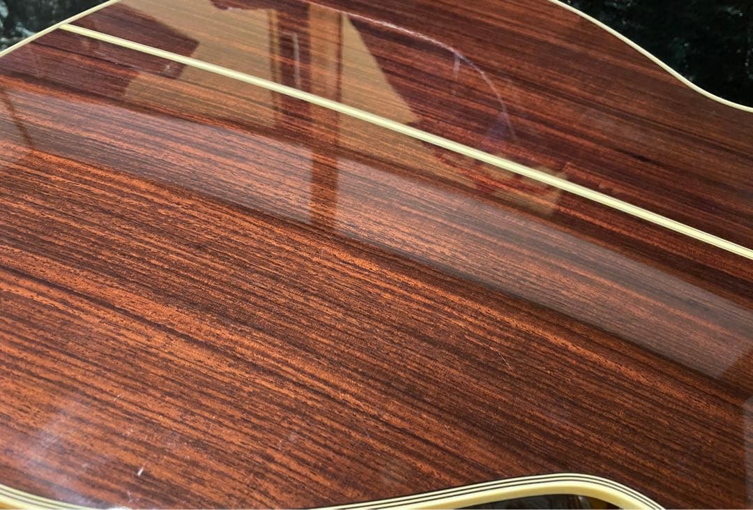 タカミネ DMP50S 2ピックアップ エレアコ ナチュラル