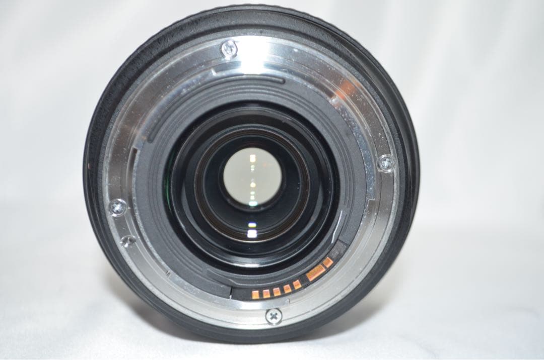 Canon キヤノン EF 70-300mm DO IS USM