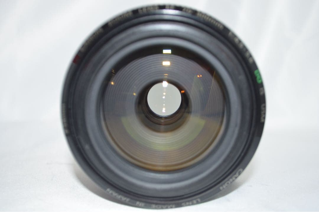 Canon キヤノン EF 70-300mm DO IS USM