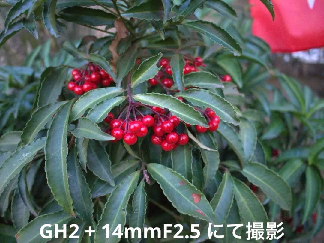 【動画の名機】Panasonic LUMIX DMC-GH2 ボディ