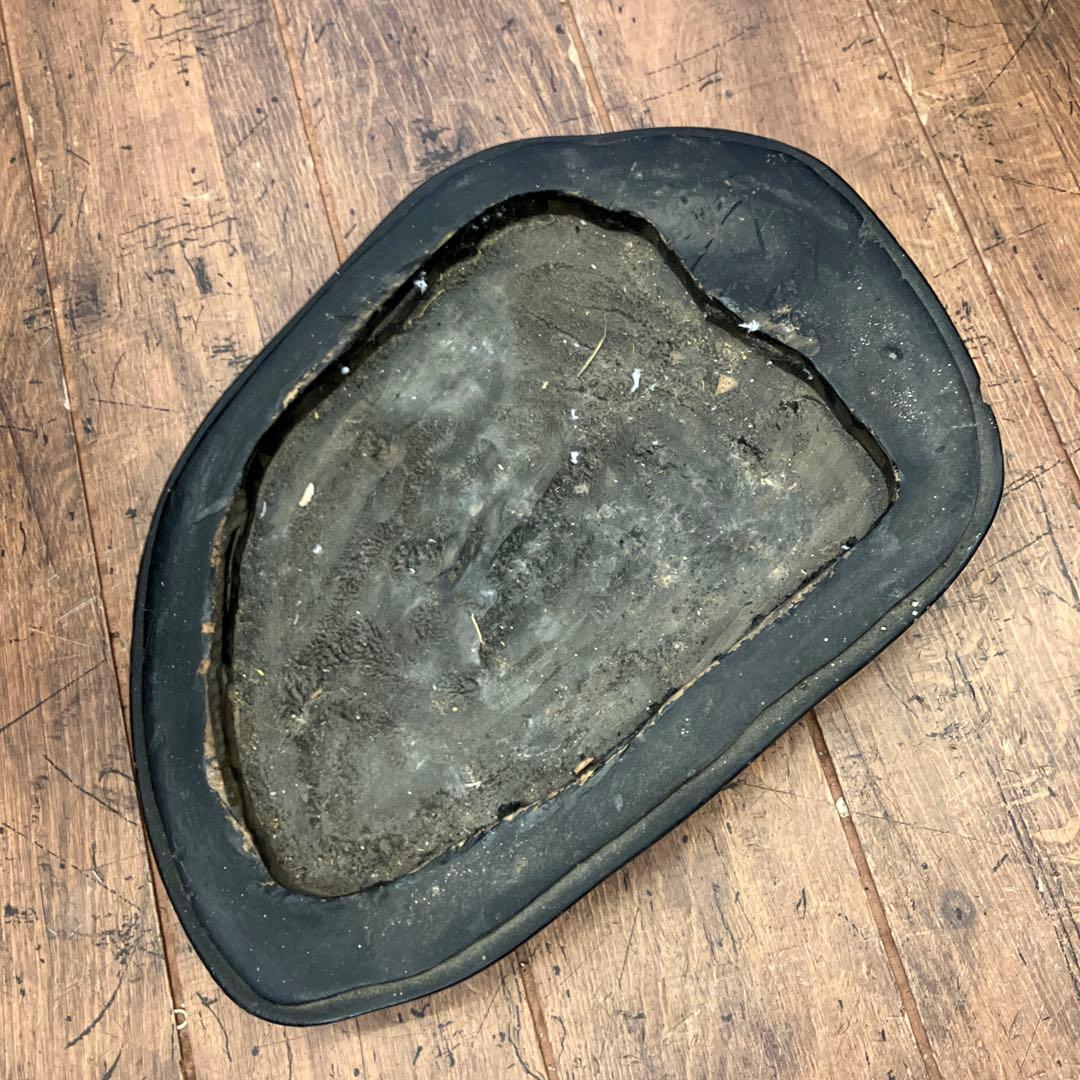 ボタン石 梅花石 鑑賞石 天然石 自然石 原石 置物 インテリア 雑貨