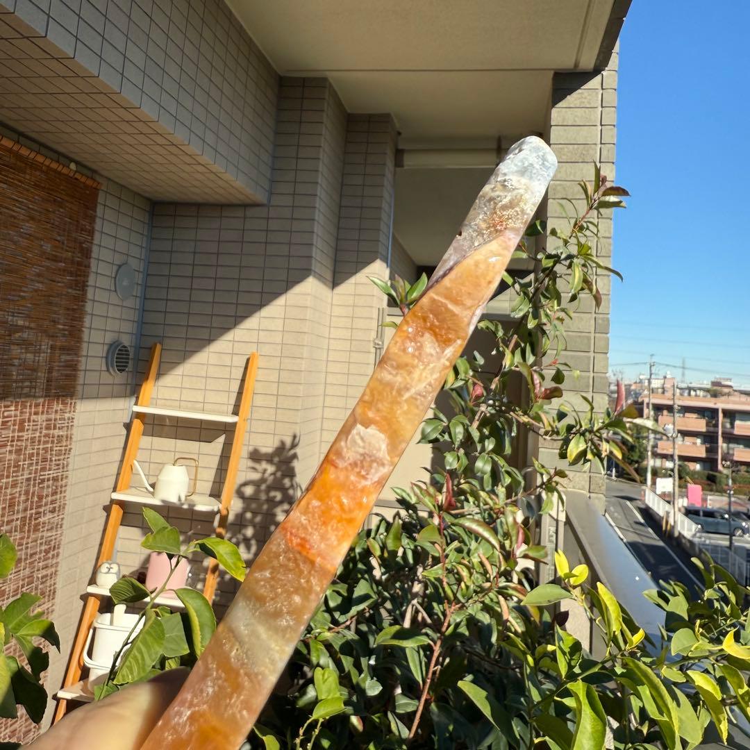 高品質　ペトリファイドウッド　520g プレート　底面磨き　台座付き　珪化木②