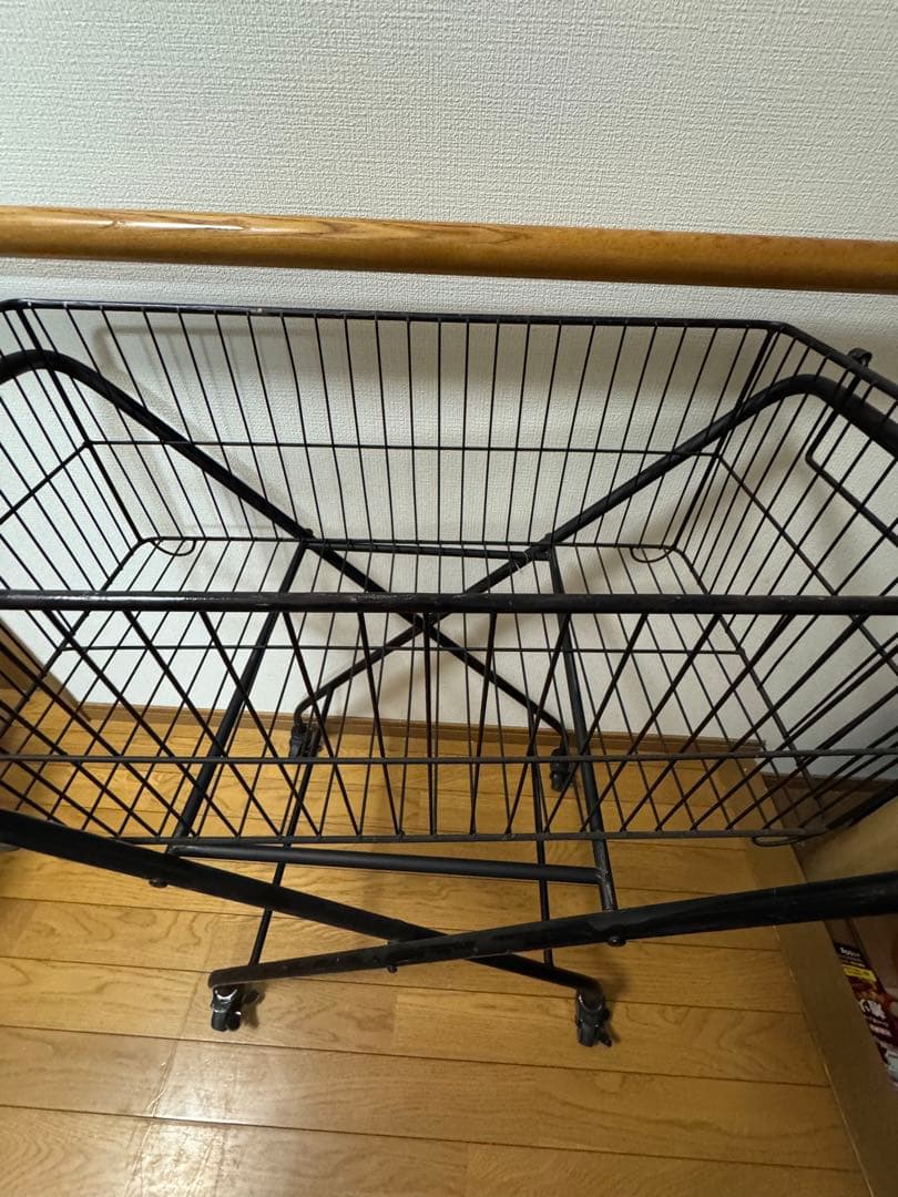 ジャーナルスタンダード　カート