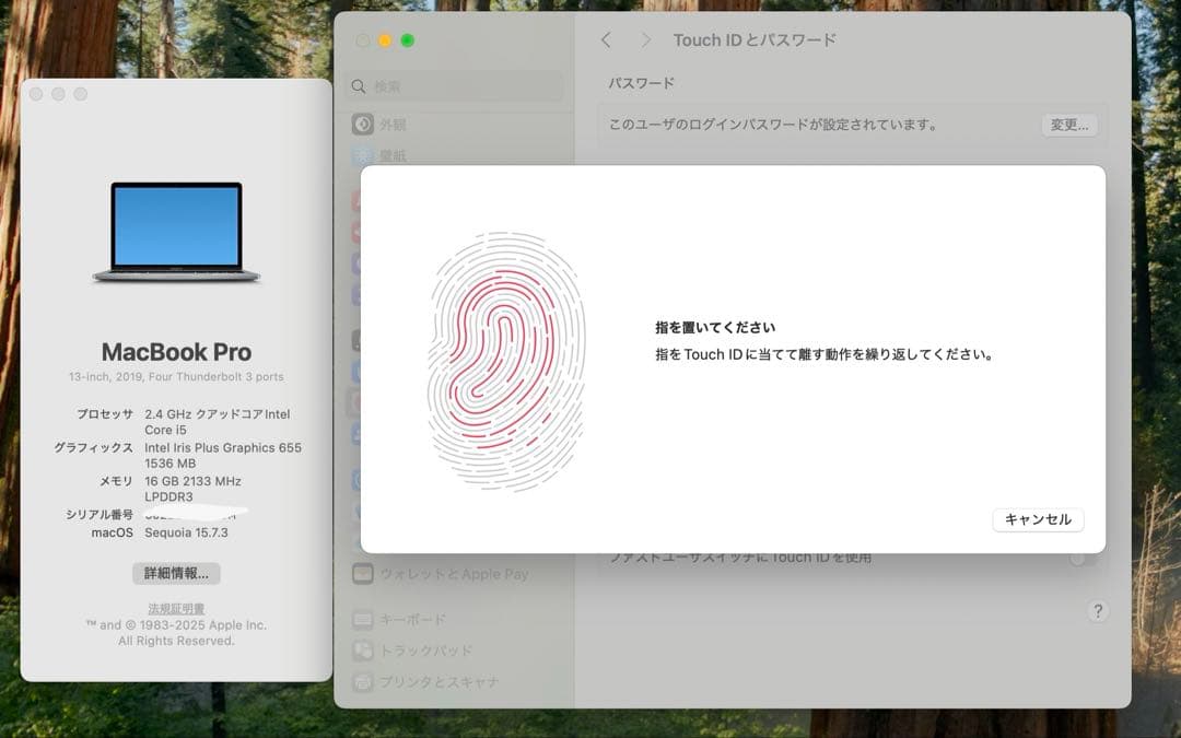 MacBook本体 Apple MacBook Pro 13 2019 i5/16GB/500GB