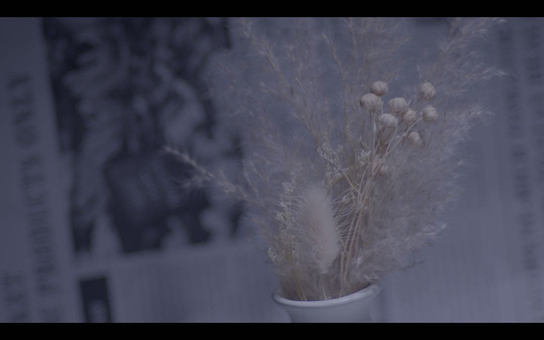 レア？　ALPA 135mm f2.8 m42マウント