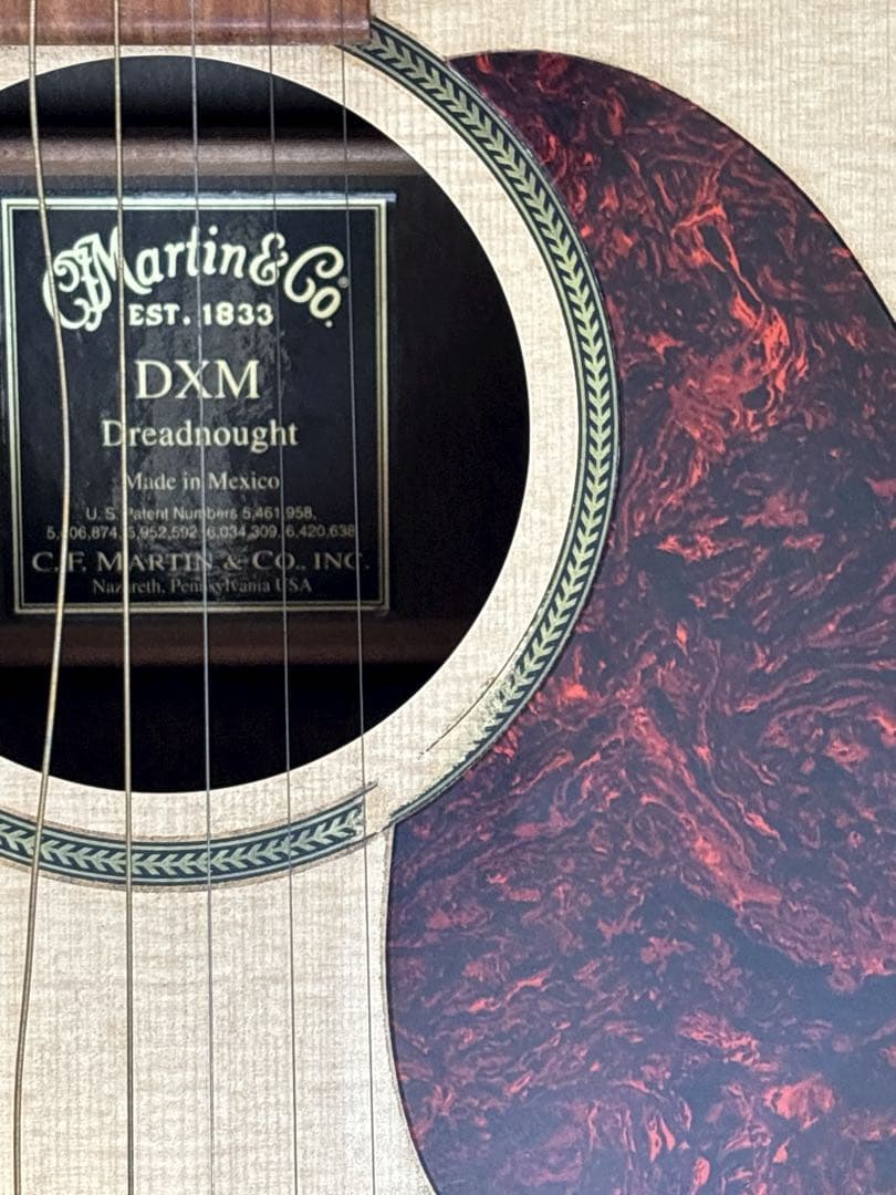 Martin & Co. DXM Dreadnought アコースティックギター