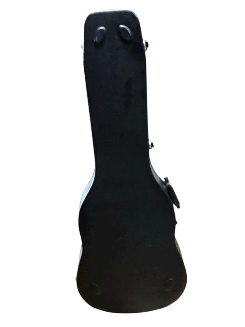 Martin & Co. DXM Dreadnought アコースティックギター