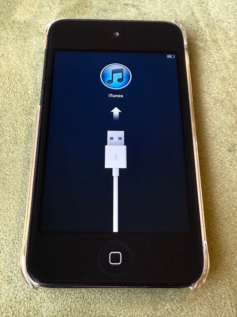 Apple iPod A1136 & A1367 セット売り