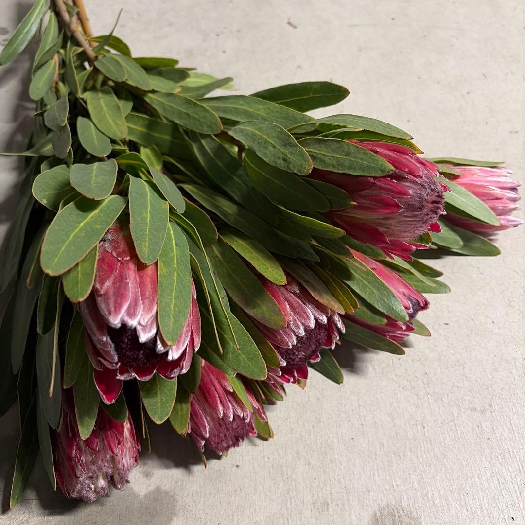 ぬー様 リクエスト 3点 まとめ商品