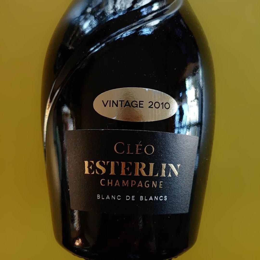 Ｂoko　ビンテージ　シャンパーニュ　エステルラン2010　2本セット