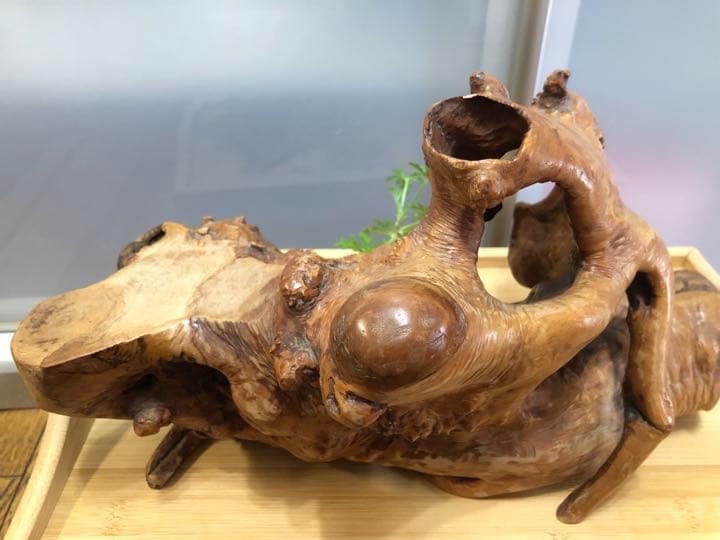週末Sale❣️木の根置物