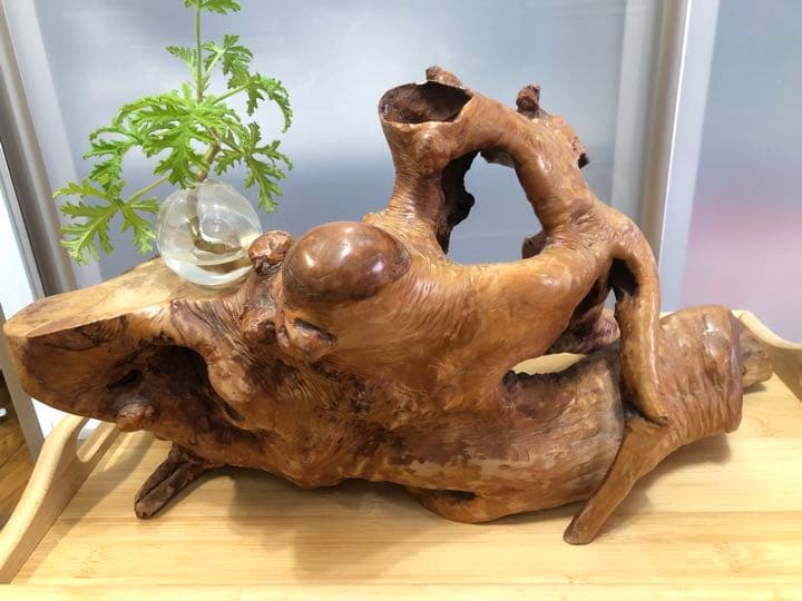 週末Sale❣️木の根置物