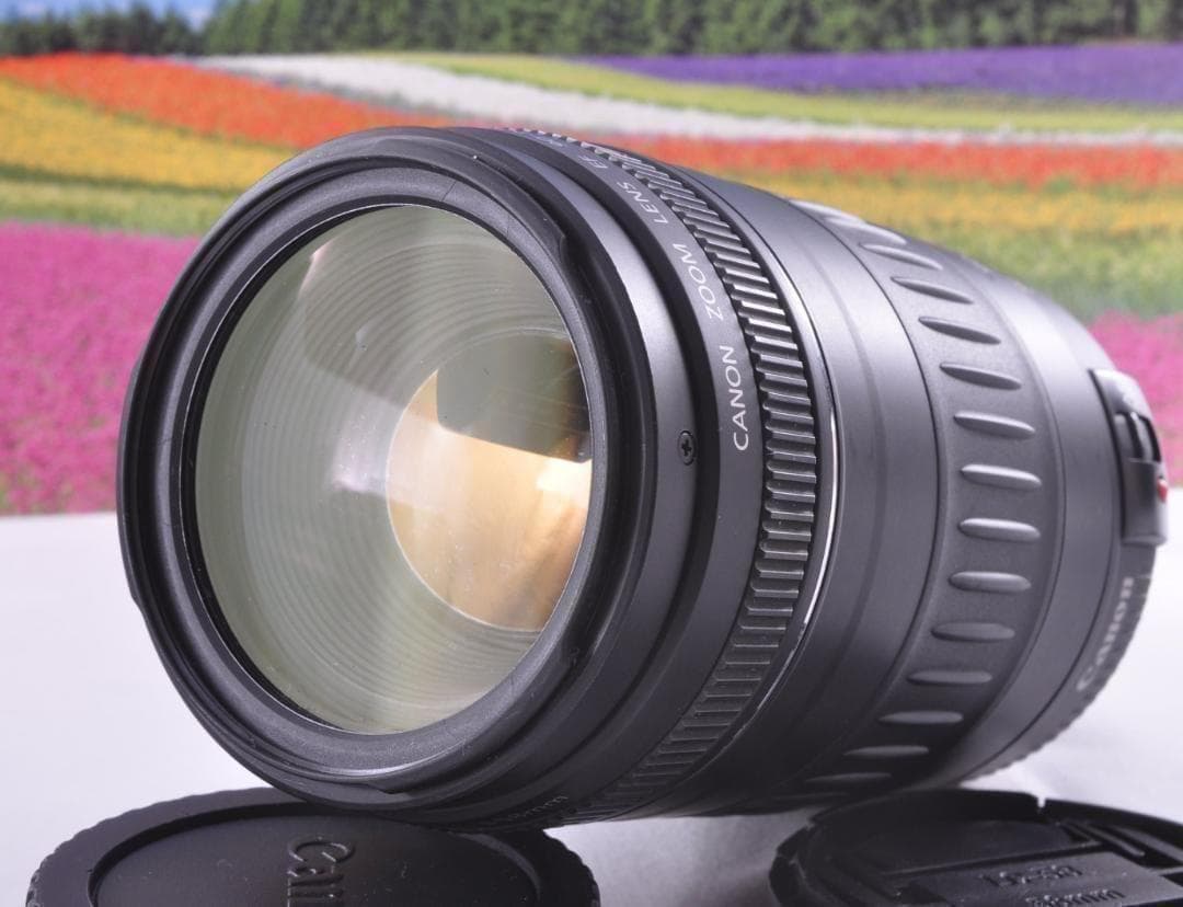 フード付き！Canon キヤノン EF90-300mm 望遠レンズ 整備済み。