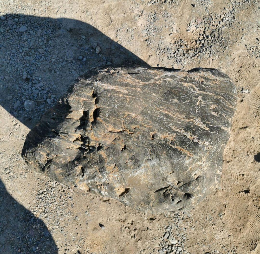 福島産　鮫川石　223キロ　庭石　鑑賞石 石　庭　坪庭　ガーデニング