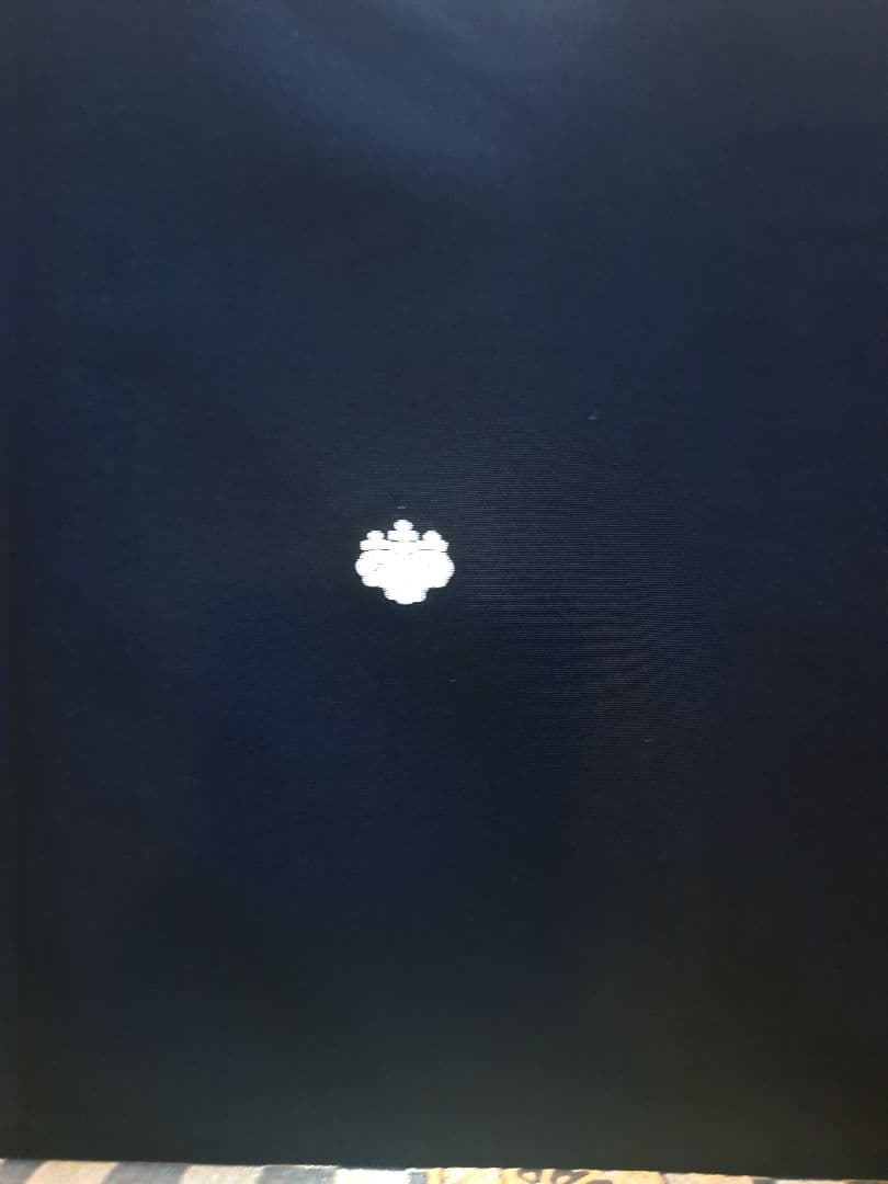 美品❇️豪華黒留袖　貝紫刺繍　 金銀彩　 比翼仕立て　５つ紋　フルセット