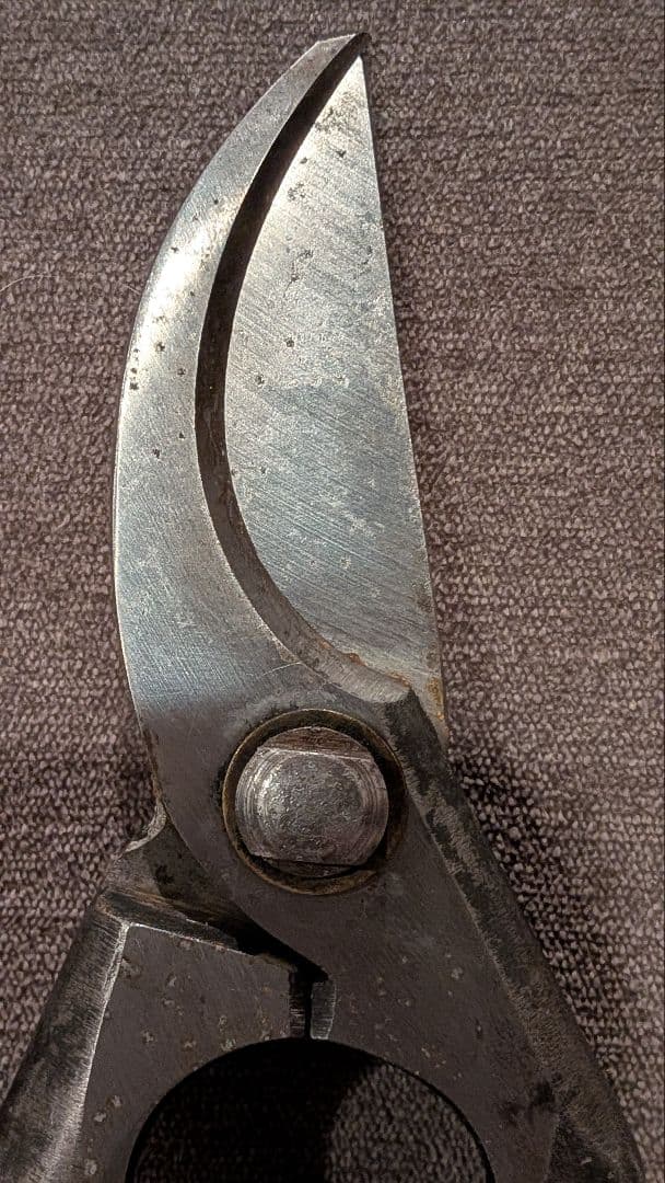ジンテイ出品