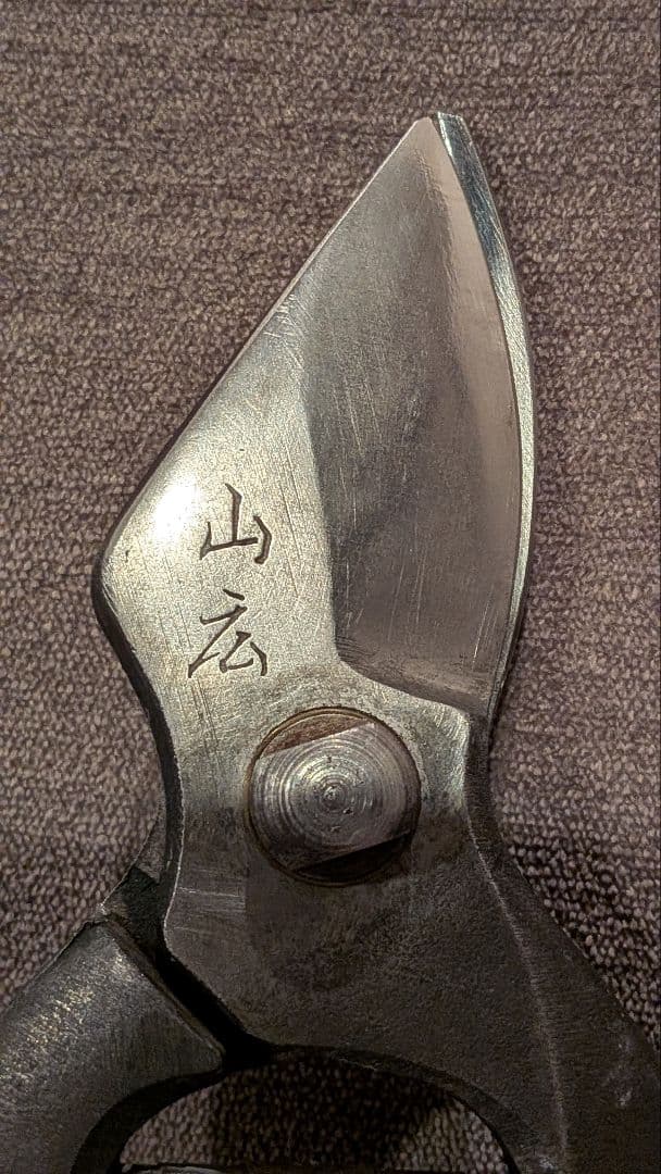 ジンテイ出品