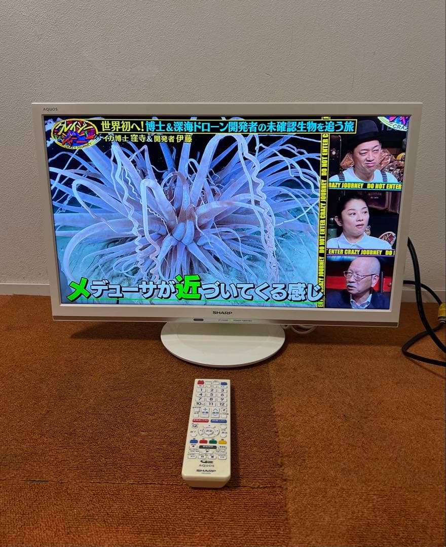 シャープ 液晶テレビ AQUOS 2T-C24AD ハイビジョン 外付HDD