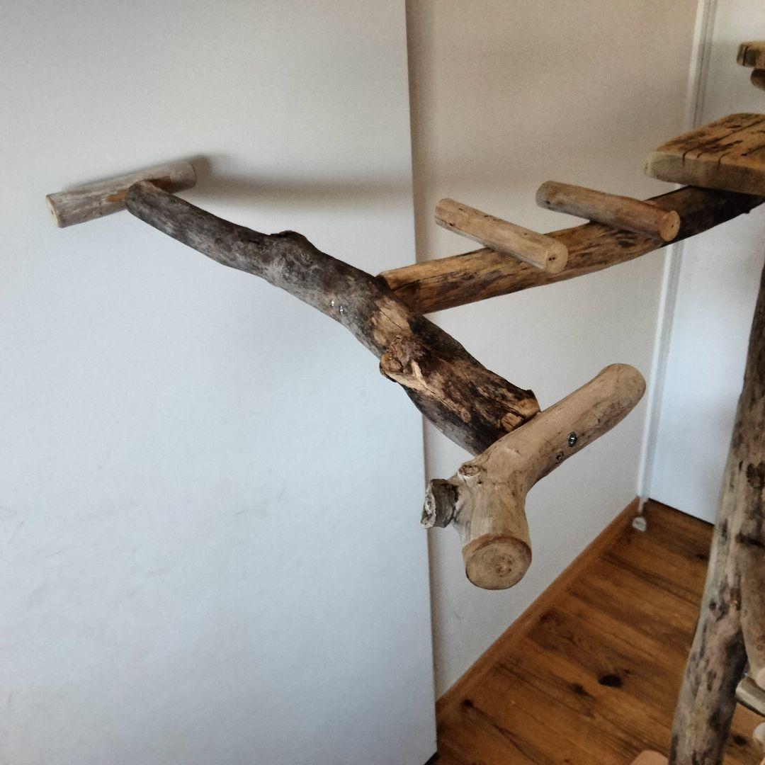 はな バードアスレチックジム ㊽ 天然木 自然木 止まり木 インコ オウム