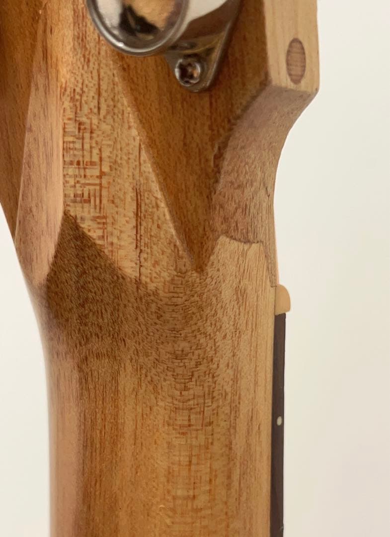 Cole Clark FL2AC3 BM 3WayPU コールクラーク