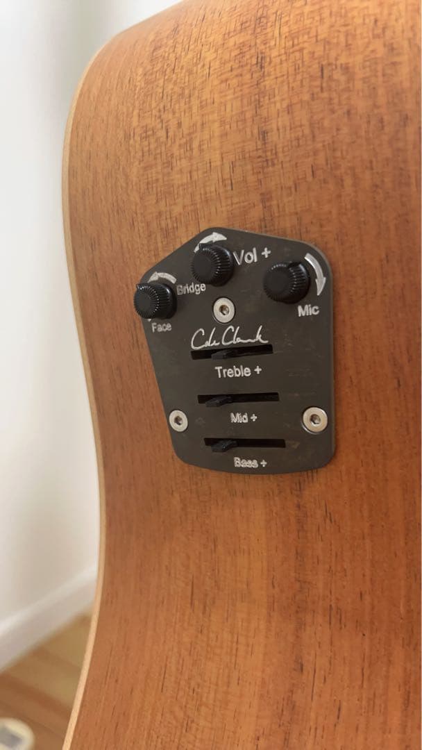 Cole Clark FL2AC3 BM 3WayPU コールクラーク