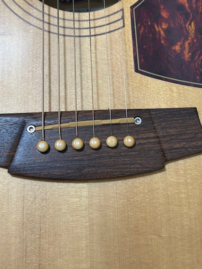 Cole Clark FL2AC3 BM 3WayPU コールクラーク