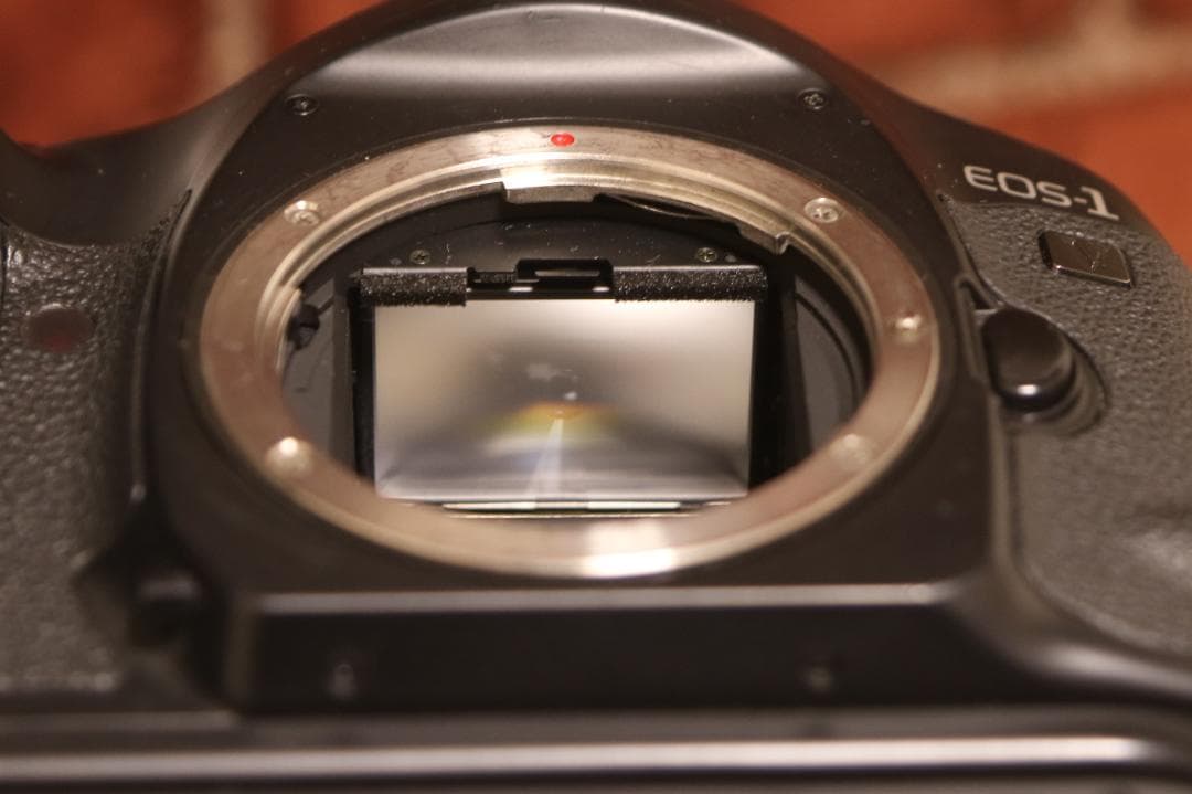 ジャンク品　Canon EOS-1V ボディのみ｜美品｜フィルムカメラ