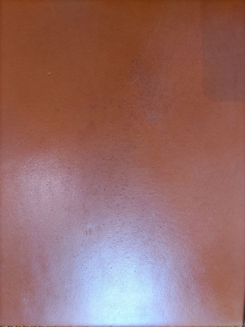 ビジネス ビジネスバック トランク 【TRAD】fivewoods ヌメ革