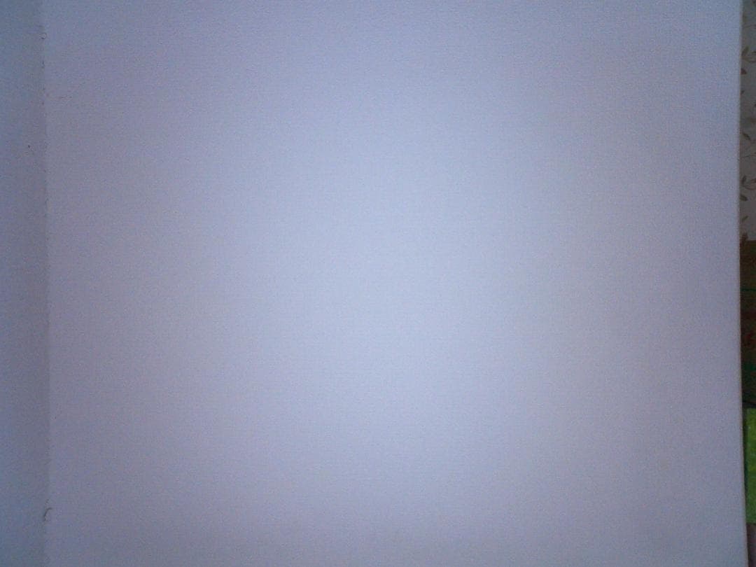 CASIO カシオ EXILIM EX-S20 コンデジ デジカメ 超軽量97g