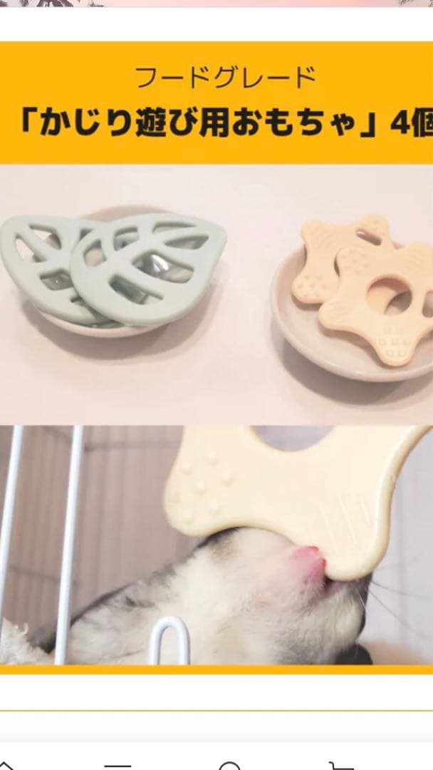 フクロモモンガ飼育用　一式セット（のびも15