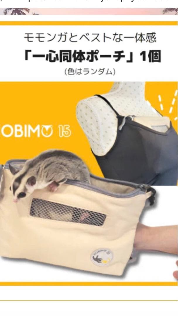 フクロモモンガ飼育用　一式セット（のびも15