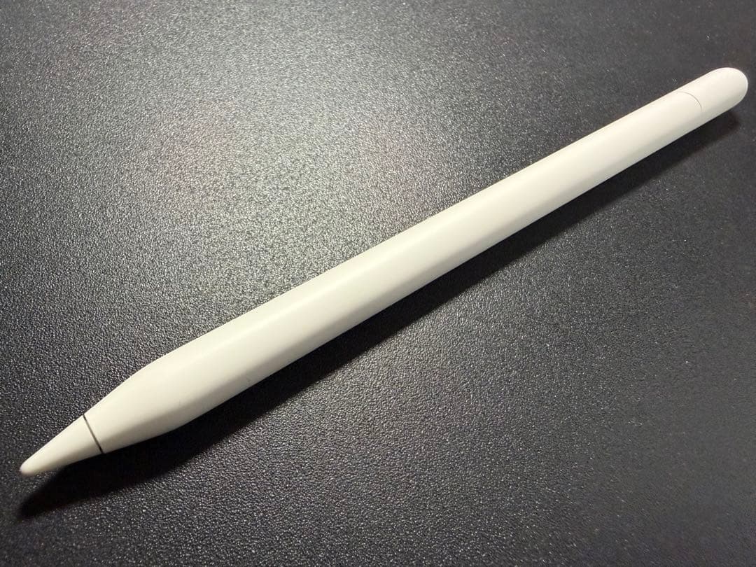 Apple Pencil アップルペンシル USB-C 純正