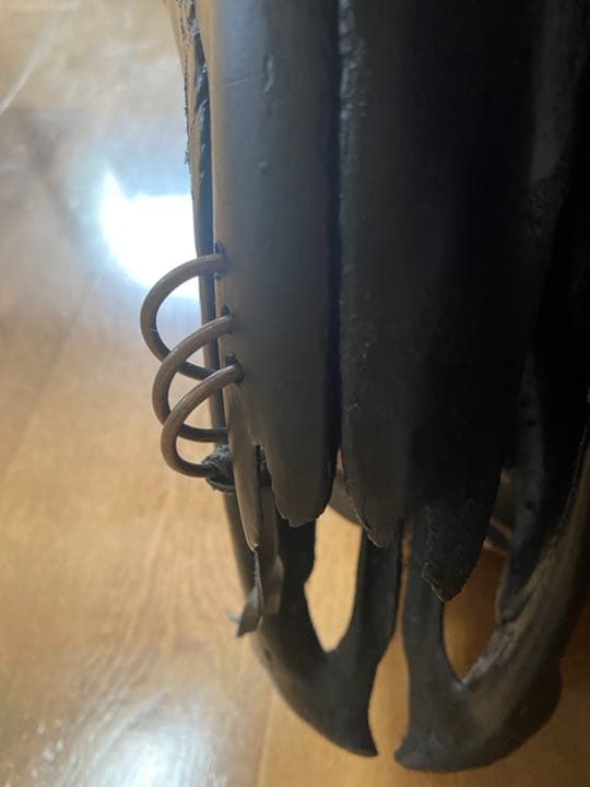 テキサスロングホーン