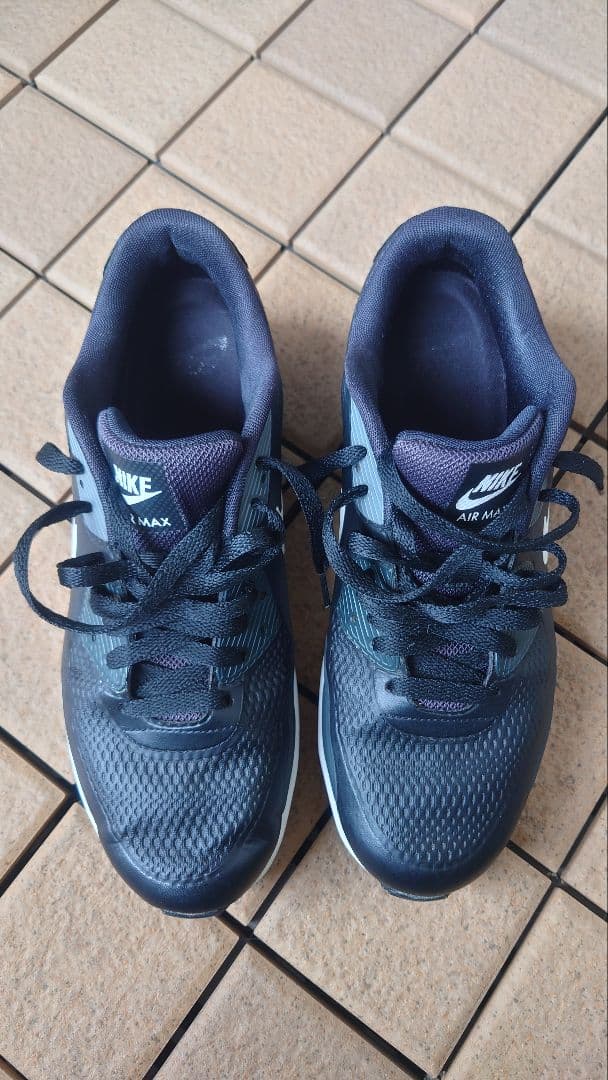 シューズ(男性用) Nike Air Max 90G