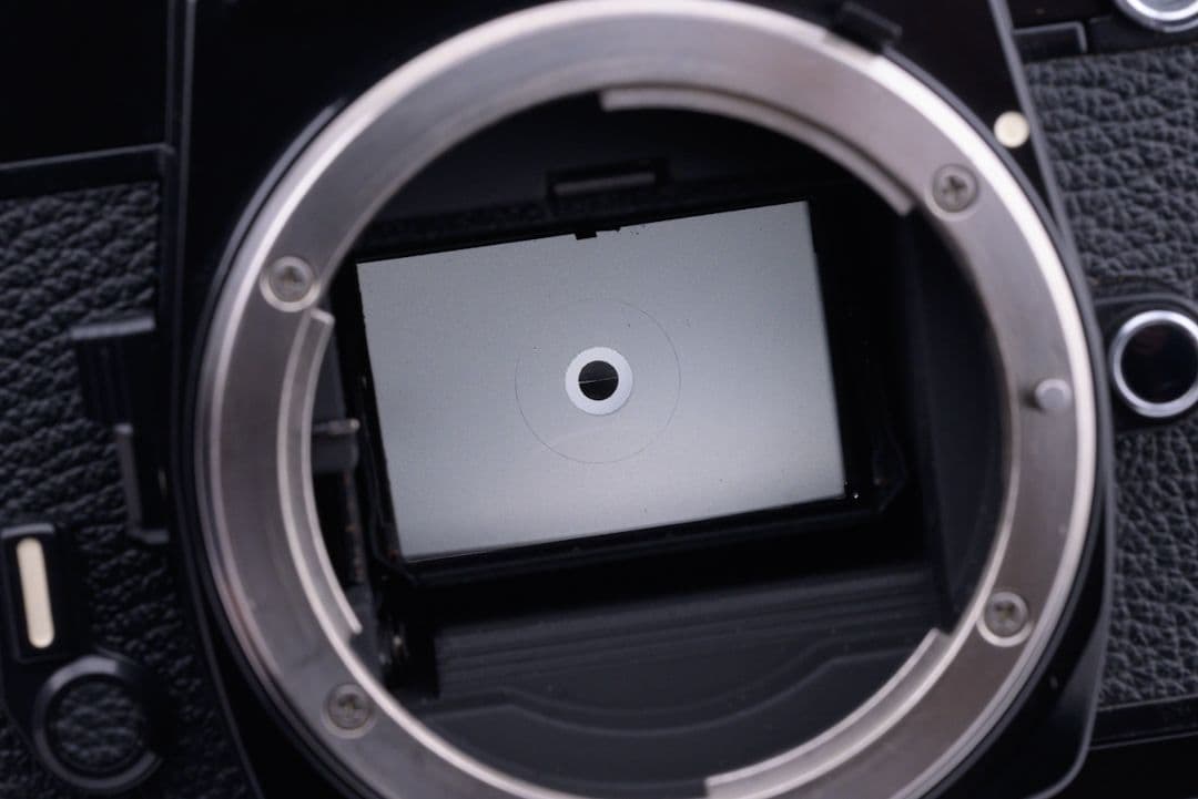 フィルムカメラ Nikon New FM2