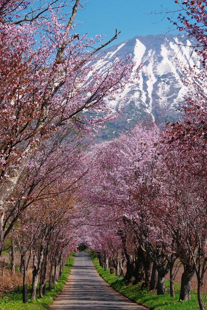 PENTAX K-3 III デジタル一眼レフカメラ