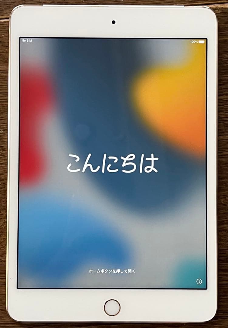 iPad本体 Apple iPad mini 4 128G
