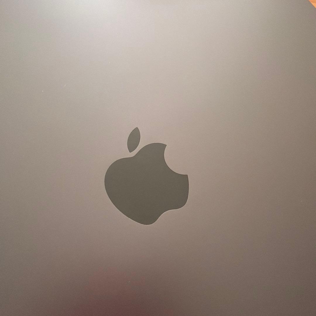 iPad Pro 13 インチ M4 space black 美品