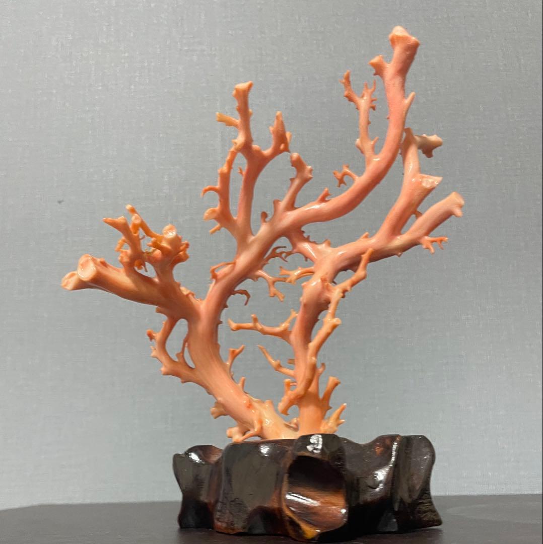 ピンクサンゴの置物 木製台座付き高さ20cm ぐらい　0340001T