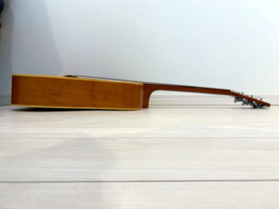 roje メイプル　ハミングバード　アコースティックギター　アコギ