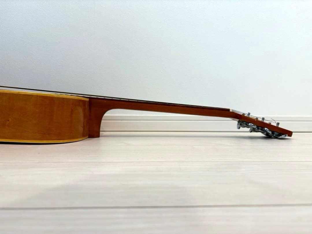 roje メイプル　ハミングバード　アコースティックギター　アコギ